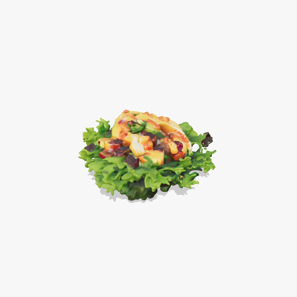 Vibrant Salad model pack